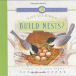 Why Do Birds Build Nests